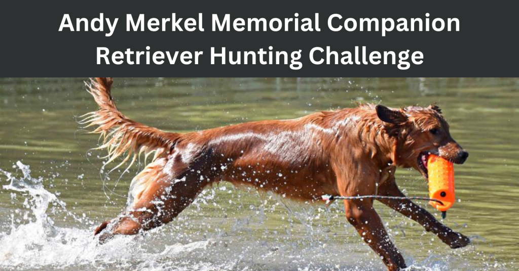 Andy Merkel Memorial Companion Retriever Hunting Challenge – Welcome to ...